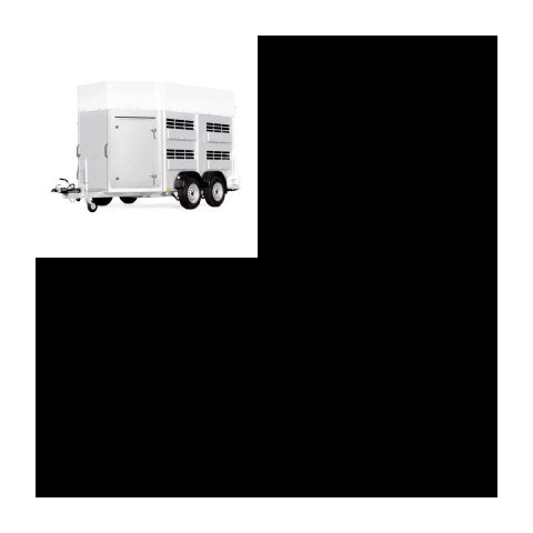 merchant fixed 5193 1779985687